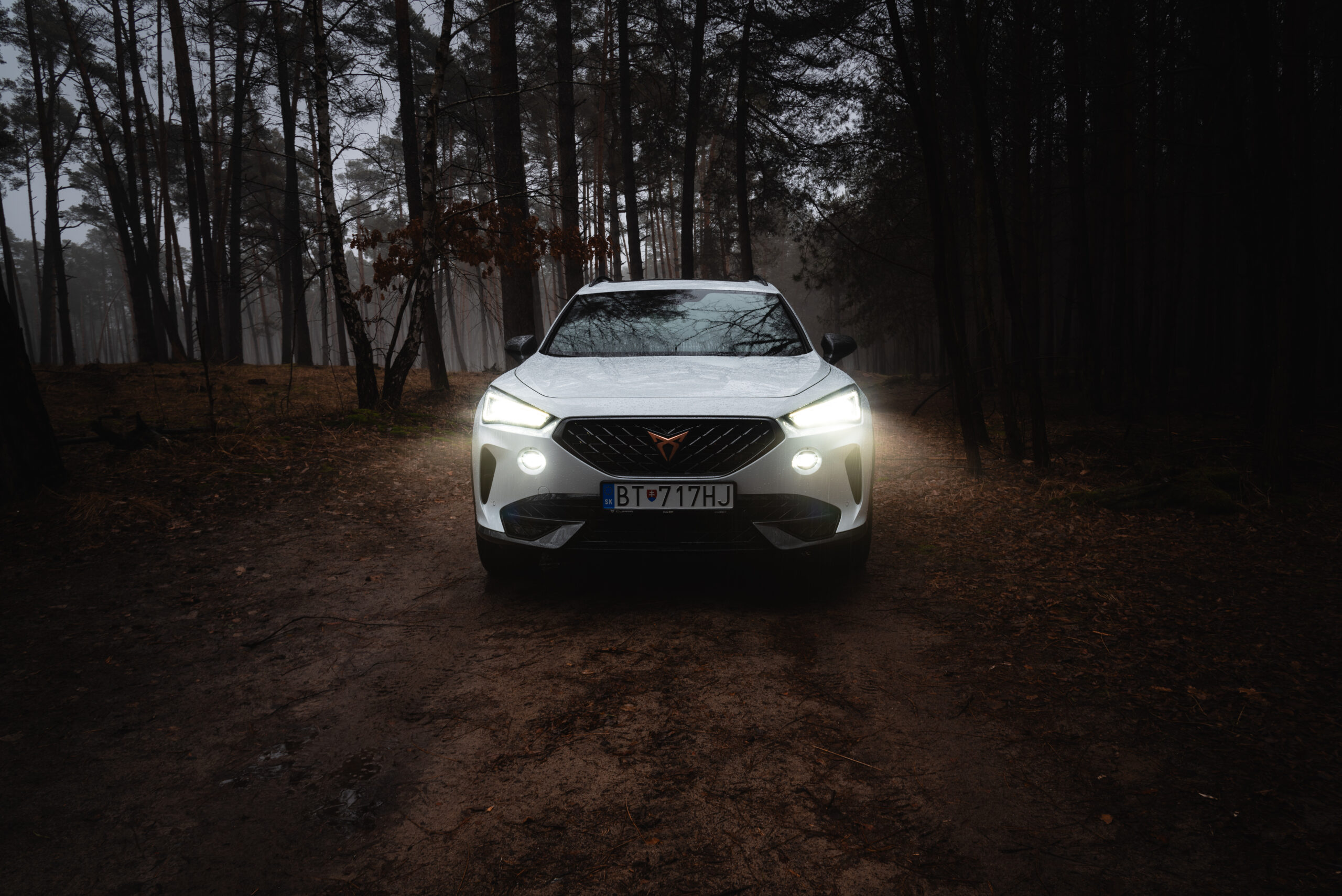 cupra-15-1